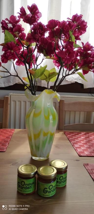 Apartment Orange Garden Loft Kala Nera