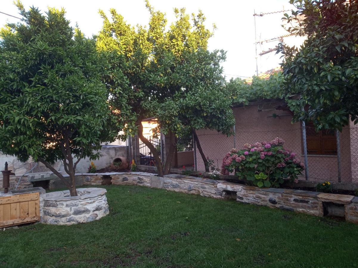 Orange Garden Loft Apartment Kala Nera