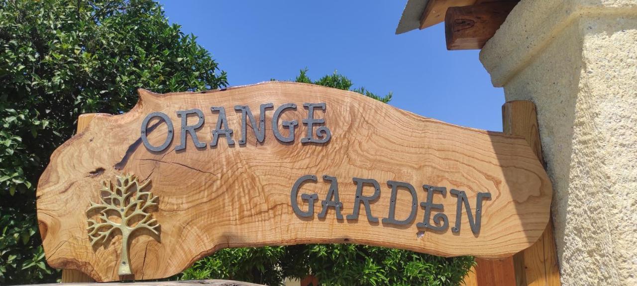 Orange Garden Loft